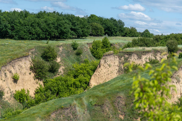 Ravine covered with greenery. Landscape valley with geological faults. Earthen mountains and bumps relief. Hill beam with protrusions and recesses. Grass and trees on slope canyon. Location recreation - Valokuva, kuva