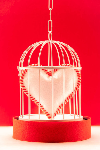 Σύνθεση του Αγίου Βαλεντίνου με καρδιά σε κλουβί για πουλιά. - Φωτογραφία, εικόνα