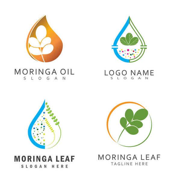 Hoja de Moringa Logo Plantilla vector símbolo naturaleza - Vector, Imagen