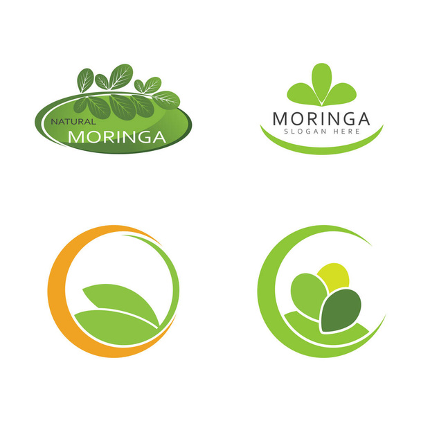 Moringa Blatt Logo Vorlage Vektor Symbol Natur - Vektor, Bild