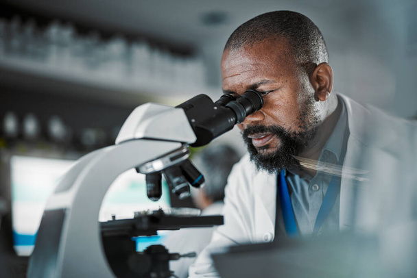 Black man scientist, microscope and lab analysis in biodiversity study, vision and research data for innovation. Agriculture science, studying microbiome and laboratory with focus for future goals. - Foto, imagen