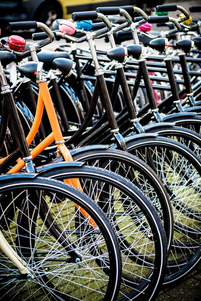 Amsterdam Bikes - Foto, immagini