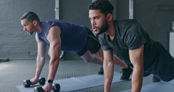 Gym, man and personal trainer planking with dumbbell together for arm fitness and stomach muscle training on floor. Exercise, health and body care, fit friends workout with kettlebell at sports club - Filmmaterial, Video