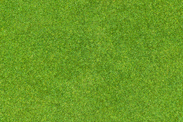 Magnifique motif d'herbe verte du terrain de golf
 - Photo, image