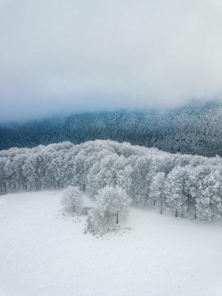 Bosque cubierto de nieve. Paisaje minimalista desde arriba. Vista aérea de las montañas brumosas. Abstracto, estilo vintage.  - Foto, imagen