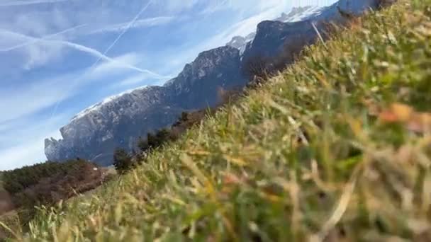 Zielona trawa rośnie zimą przed wysokimi górami Alp Włoskich - Materiał filmowy, wideo