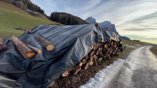 Holzstämme, die in den Bergen gefällt und überwintert werden - Filmmaterial, Video