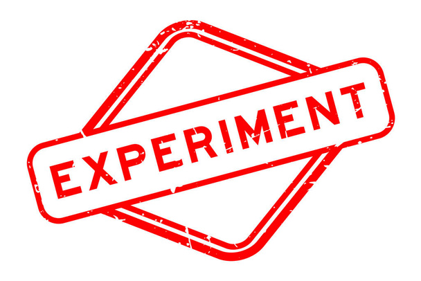 experiment word