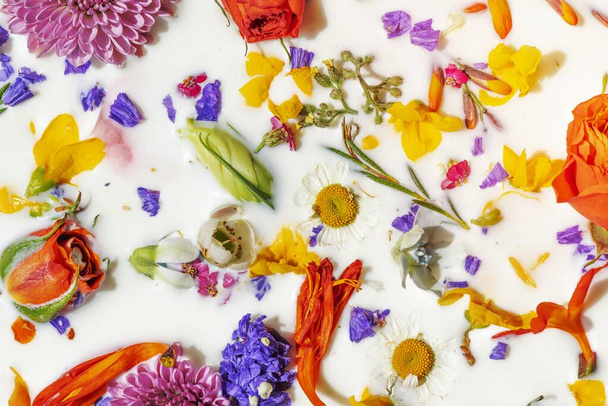 Coloridas flores de verano en un fondo de baño de leche - Foto, imagen