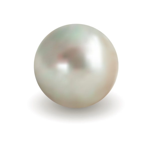 weiße Perle - Vektor, Bild