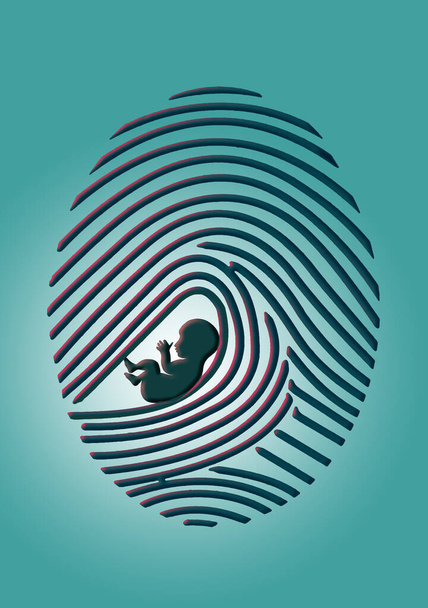 Una huella dactilar se ve con un feto humano en una ilustración 3-d sobre si o cuándo un feto se convierte en un ser humano con respecto a los argumentos del derecho al aborto.. - Foto, imagen