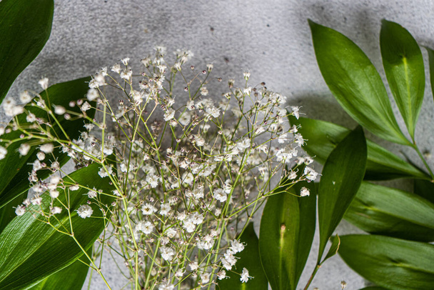 Kevät luonto tasainen makasi valkoinen Gypsophila kukkia ja vihreät lehdet Ruscus kasvi - Valokuva, kuva