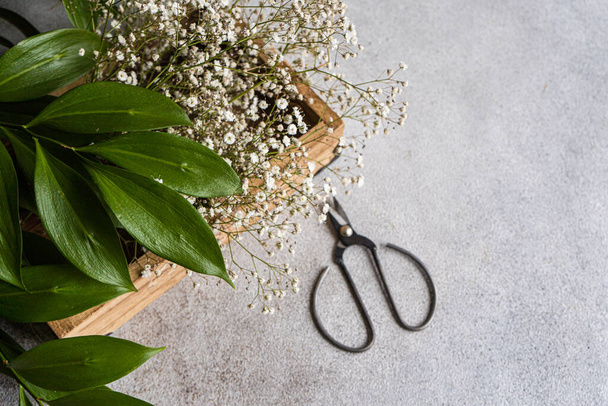 Spring nature flat lay with white Gypsophila flowers and green leaves of Ruscus plant - Foto, Imagen