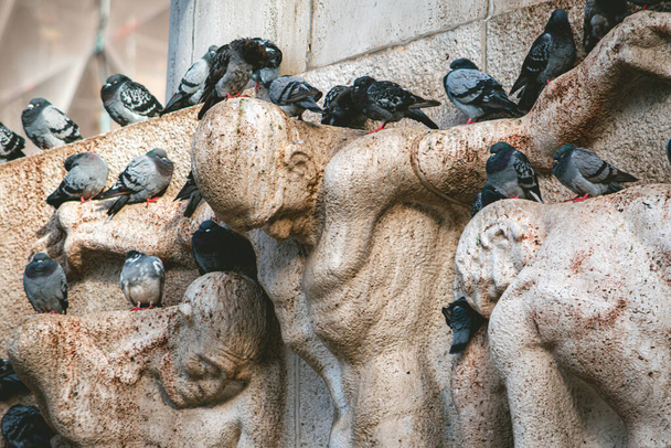 Стая пиджонов, покоящихся на статуе в Амстердаме, Нидерланды - Фото, изображение