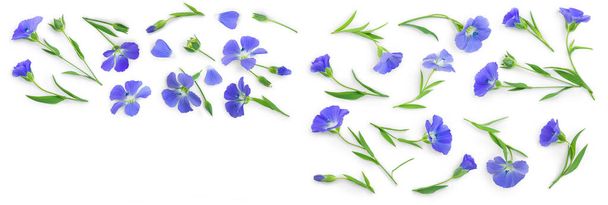 Flachsblumen oder Linum usitatissimum auf weißem Hintergrund mit Kopierraum für Ihren Text. Draufsicht, flache Lage. - Foto, Bild