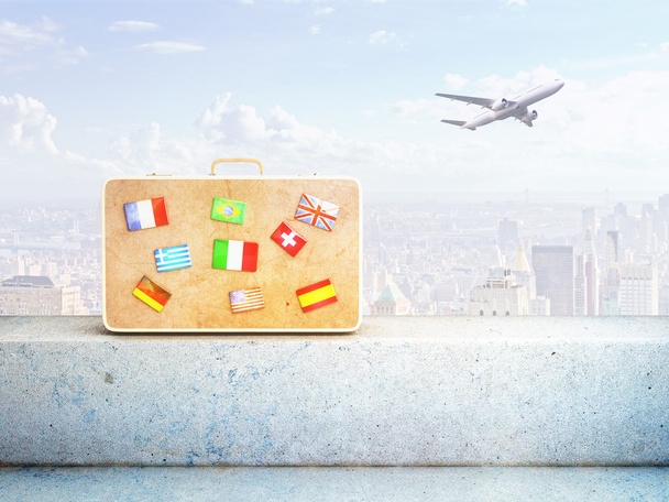Travel bag and plane - Photo, Image