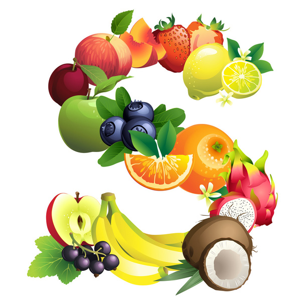 S betű áll a különböző gyümölcsök, levelek - Vektor, kép