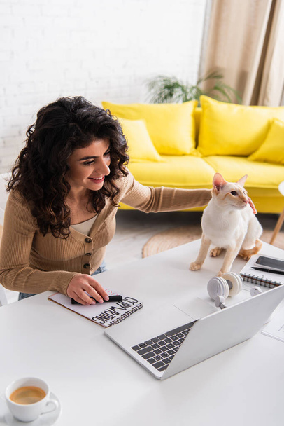 Χαμογελώντας copywriter κοιτάζοντας φορητό υπολογιστή κοντά ανατολίτικη γάτα στο σπίτι  - Φωτογραφία, εικόνα