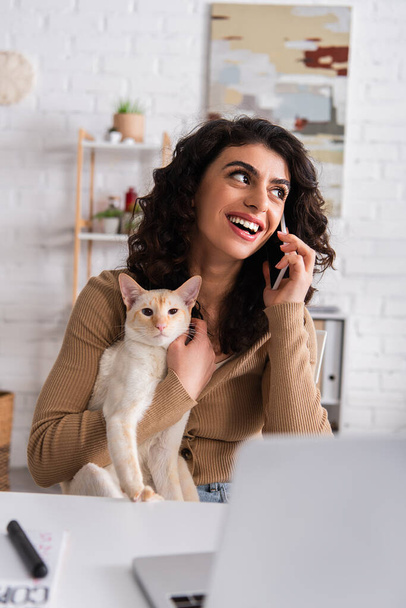 Smiling freelancer talking on smartphone and holding oriental cat near laptop at home  - 写真・画像