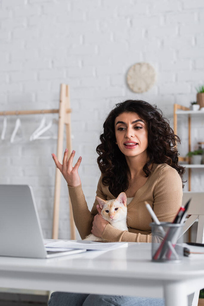 Copywriter holding oriental cat and having video call on laptop at home  - Fotó, kép