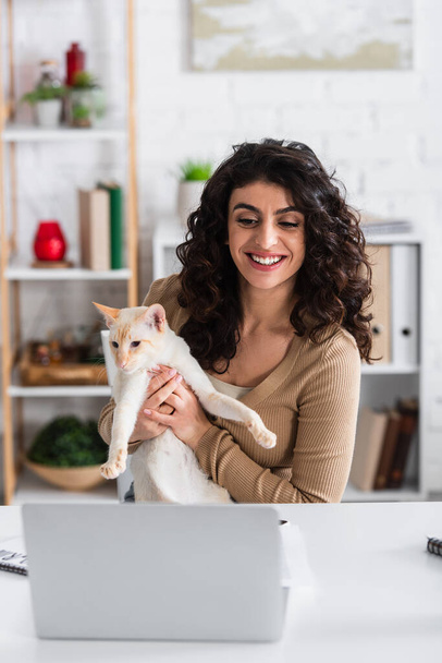 Smiling copywriter holding oriental cat near laptop at home  - Valokuva, kuva