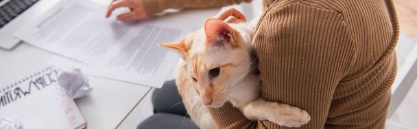 Cropped view of freelancer holding oriental cat and working at home, banner  - Foto, imagen
