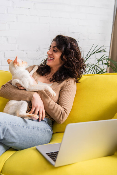 Веселый фрилансер смотрит на восточную кошку рядом с размытым ноутбуком на диване  - Фото, изображение