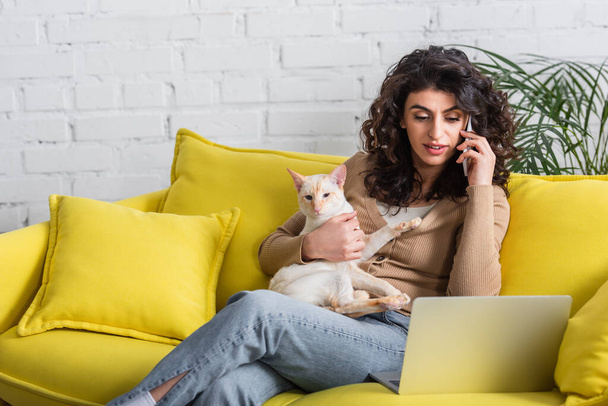 Copywriter talking on smartphone and holding oriental cat near laptop at home  - Foto, afbeelding
