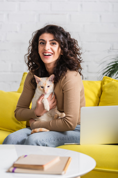 Positieve copywriter houdt oosterse kat in de buurt wazig boeken en laptop op de bank  - Foto, afbeelding