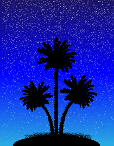 Silhouette of a palm trees at night - Vektor, kép