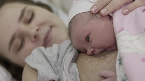 Woman breastfeeding newborn baby. Mother breastfeeding newborn girl lying in bed. Concept breast feeding. Baby eating mothers milk. Young woman nursing and feeding baby. Concept of lactation infant. - Séquence, vidéo