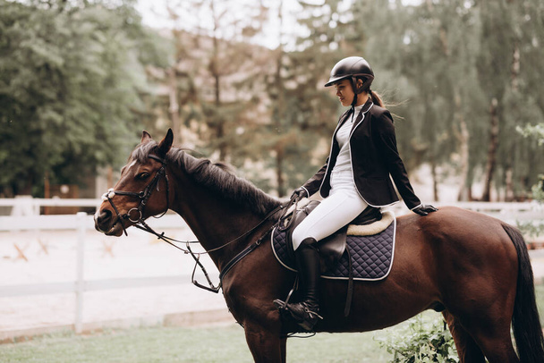 The sportswoman on a horse. The horsewoman on a red horse. Equestrianism. Horse riding. Horse racing.  - 写真・画像