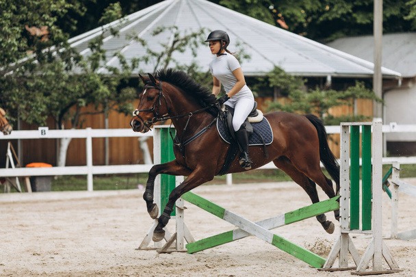 Horse Jumping, Ιππασίας Αθλητισμός, Εμφάνιση Jumping Διαγωνισμός θεματική φωτογραφία - Φωτογραφία, εικόνα