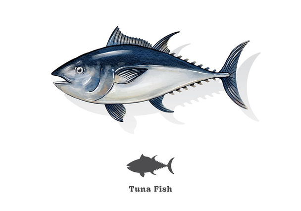 tuna fish watercolor sketch line art. vector illustration. - Wektor, obraz