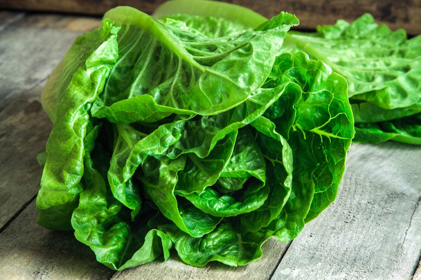 спелый органический зеленый салат Romano
  - Фото, изображение