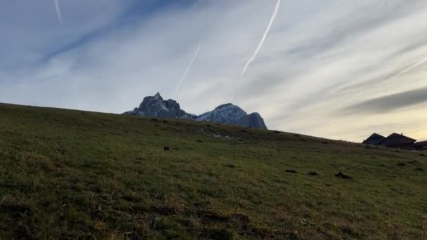 Скалистая зимняя гора видна с зеленого холма - Кадры, видео