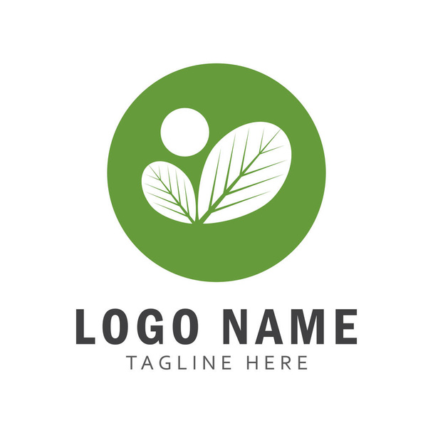 Hoja de Moringa Logo Plantilla vector símbolo naturaleza - Vector, Imagen