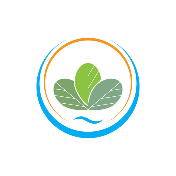 Moringa feuille Logo Modèle vectoriel symbole nature - Vecteur, image