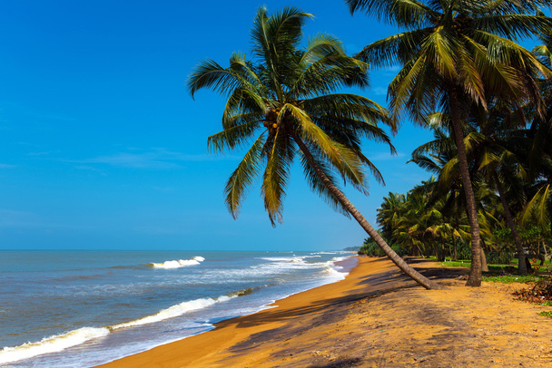 Sri Lanka - Foto, afbeelding