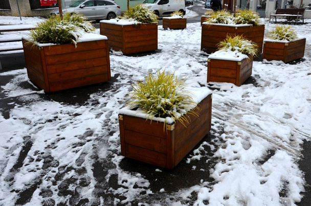 ornamental flower pots next to the road to the square. ornamental perennial flowers grass. block shape flower pot made of wood material. camping bench with table, snow, row, winter, white, drone - Photo, Image
