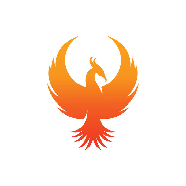 Concept bird vector of Phoenix fire logo templates designs animal eagle mythology symbol.  - Вектор, зображення