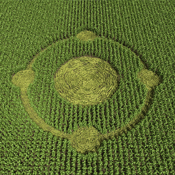 Зеленый круг урожая
 - Фото, изображение