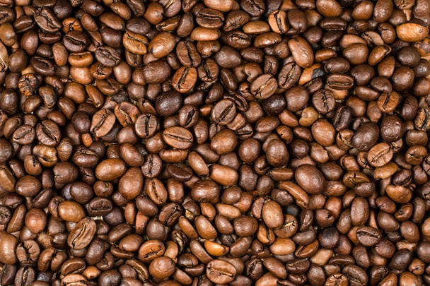 roasted coffee beans, can be used as a background - Photo, image
