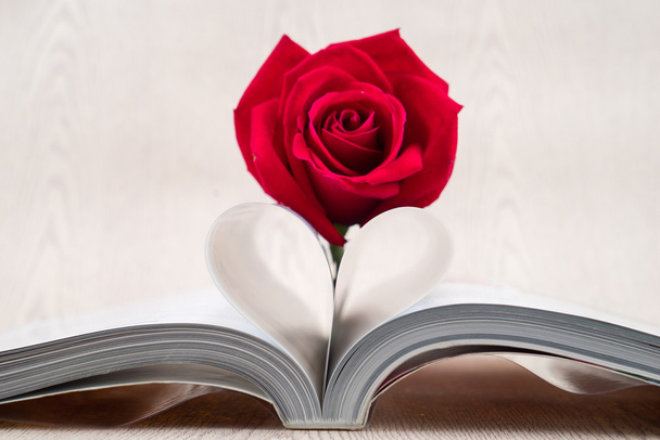 Rose auf der Buchseite platziert, die zu einer Herzform gebogen ist - Foto, Bild