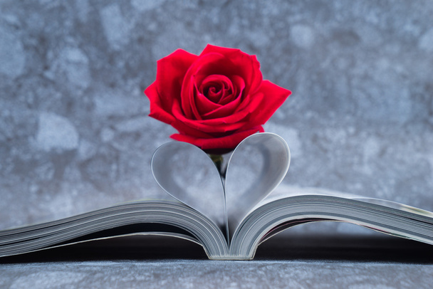 Rose placed on the books page that is bent into a heart shape - Photo, Image