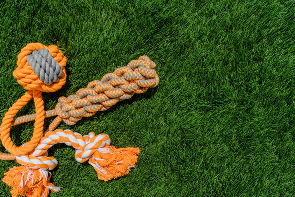 Set of orange rope and rubber toys for dogs on synthetic grass, layout, hard light - 写真・画像