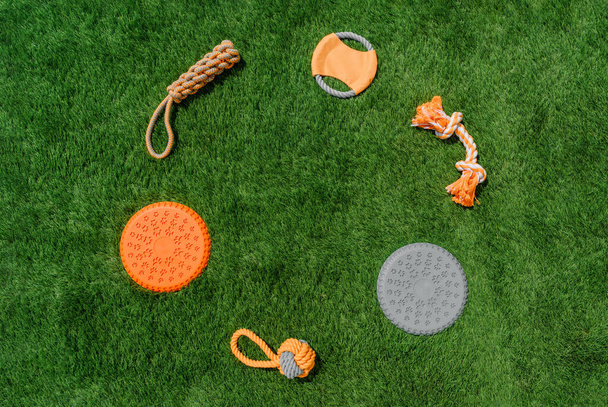 Set of orange rag and rubber toys for dogs on synthetic grass, layout, hard light - Zdjęcie, obraz