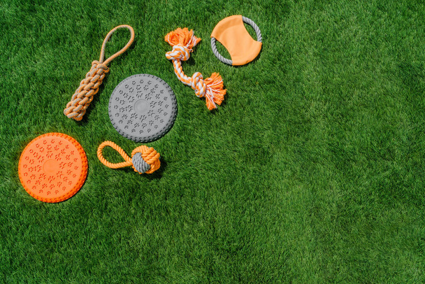 Set of orange rag and rubber toys for dogs on synthetic grass, layout, hard light - Zdjęcie, obraz