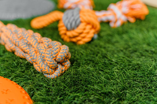 Ensemble de jouets en chiffon orange et caoutchouc pour chiens sur gazon synthétique, disposition, lumière dure - Photo, image