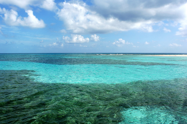 Ο κοραλλιογενής ύφαλος - Φωτογραφία, εικόνα